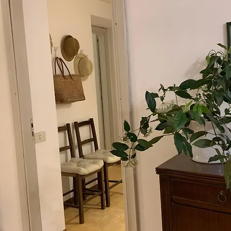 La Casa In Pineta Di Fronte Al Mare *